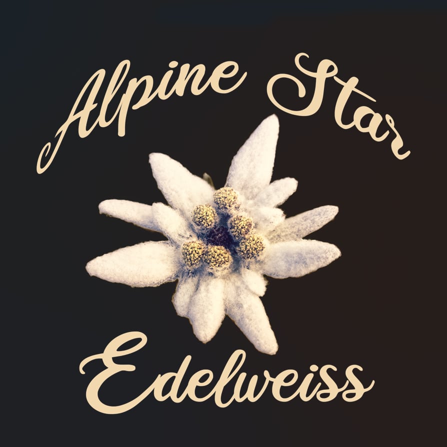 Alpine Star - Edelweiss. Blumenmotiv.