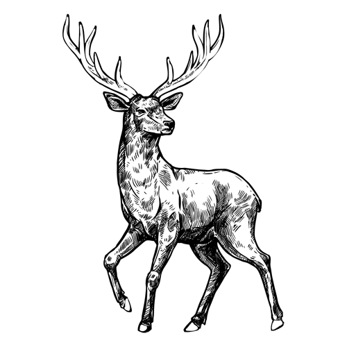 Bergheimat – Alpenraum
